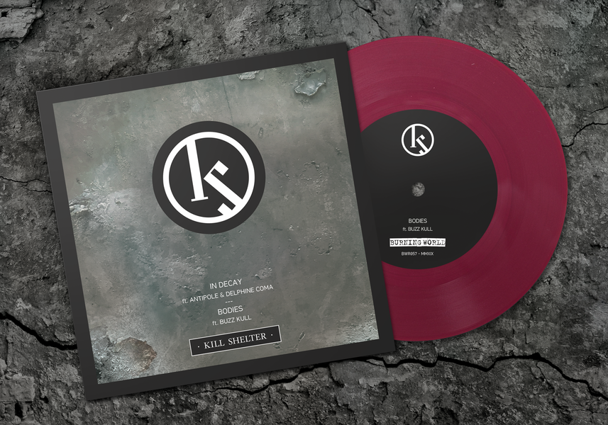 Kill Shelter In Decay 7"" released today!