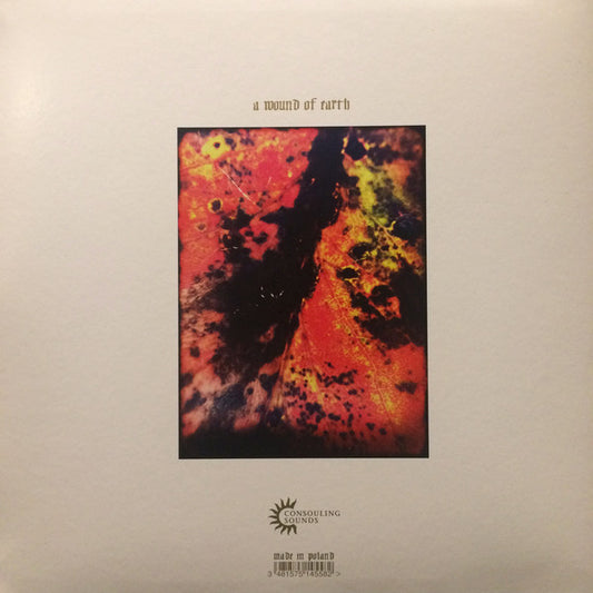 Common Eider, King Eider : A Wound Of Earth (LP, Album)