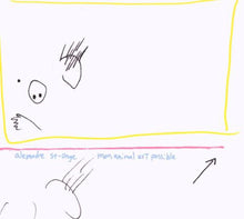 Alexandre St-Onge : Mon Animal Est Possible (CD, Album)