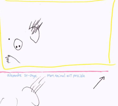 Alexandre St-Onge : Mon Animal Est Possible (CD, Album)