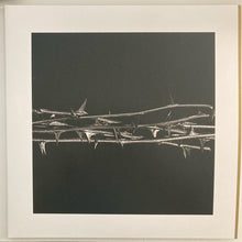 Amenra : De Doorn (2xLP, Album, Gol)