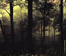 Aderlating : Devotional Hymns (CDr, Album, Ltd)