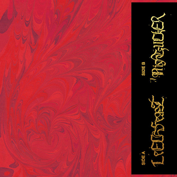 Leechfeast / Nightfucker : Split (LP)
