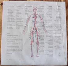 Agrio : El Amigo Americano  (LP, Album, Comp)