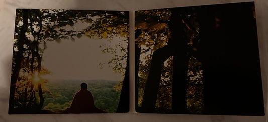 Dirty Projectors : The Getty Address (CD, Album, RP, Dig)