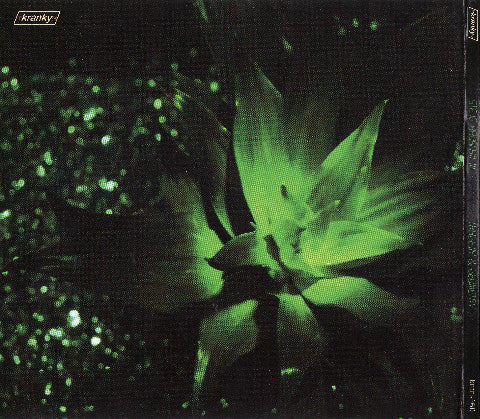 Steve Hauschildt : Tragedy & Geometry (CD, Album)