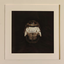 Amenra : De Toorn (12", EP, Bla)