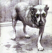 Alice In Chains : Alice In Chains (CD, Album, Pur)