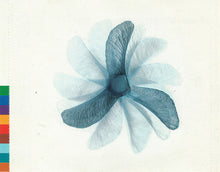 Afro Celt Sound System : Seed (CD, Album)