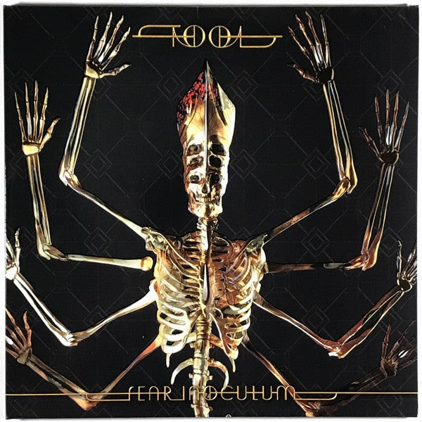 Tool Fear Inoculum 2LP vinyl - Burning World Mailorder