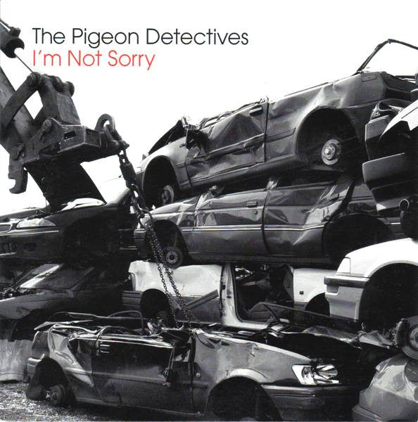 The Pigeon Detectives : I'm Not Sorry (7