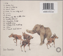 Jonquil : Lions (CD, Album)