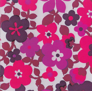 The Dead C : Future Artists (CD, Album)