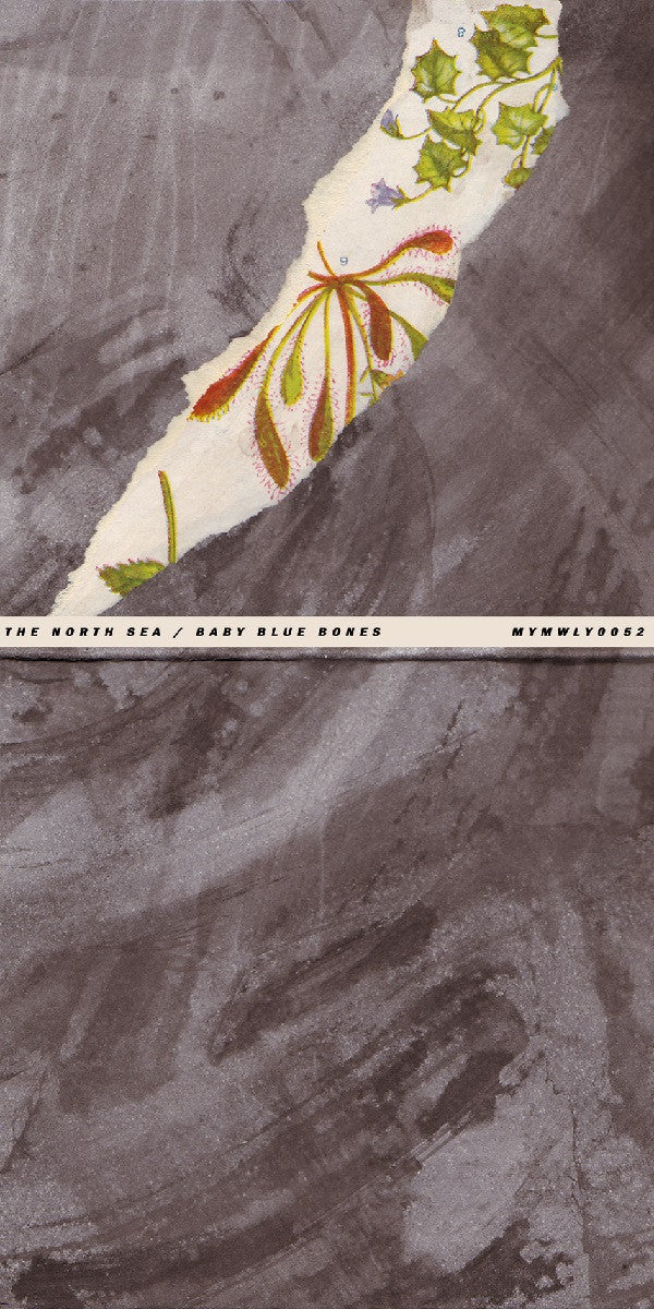 The North Sea : Baby Blue Bones (CDr, Album)