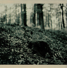 Zita Swoon : A Song About A Girls (CD, Album)