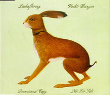 Vashti Bunyan : Lookaftering (CD, Album, Promo)