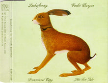 Vashti Bunyan : Lookaftering (CD, Album, Promo)