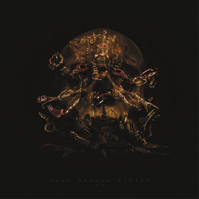 Dark Buddha Rising : II (LP, EP)