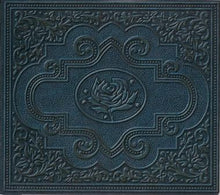 Ryan Adams & The Cardinals : Cold Roses (2xCD, Album)