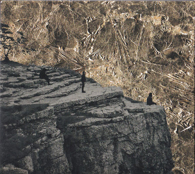 Esben And The Witch : Nowhere (CD, Album)