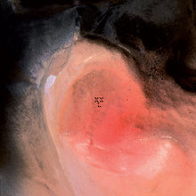 XXL (4) : Puff O'Gigio (LP, Album)