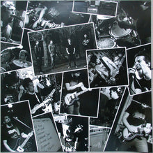 Fire Down Below (2) : Viper Vixen Goddess Saint (LP, Album, Ltd, RP, Fir)
