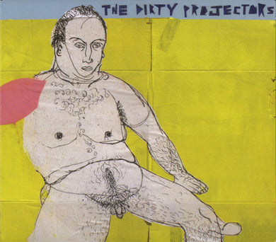 Dirty Projectors : The Glad Fact (CD, Album)