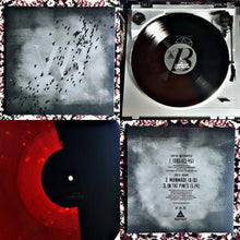 Witch Ripper / Brume (4) : Split MMXIX (12", Ltd, Num, Red)