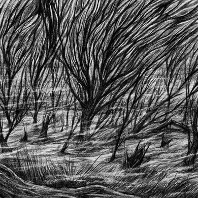 Bismuth (2) : The Eternal Marshes (12