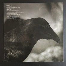 Black Lung (6) : Ancients (LP, Album, Ltd, Acr)