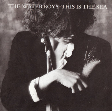 The Waterboys : This Is The Sea (CD, Album, RE)