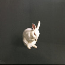 Brume (4) : Rabbits (LP, Album, Whi)