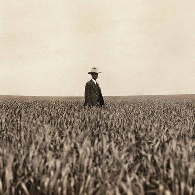 Marco Serrato Gallardo : 