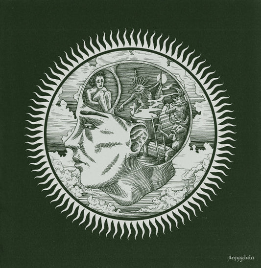 Slow Green Thing : Amygdala (LP, Album, tra)