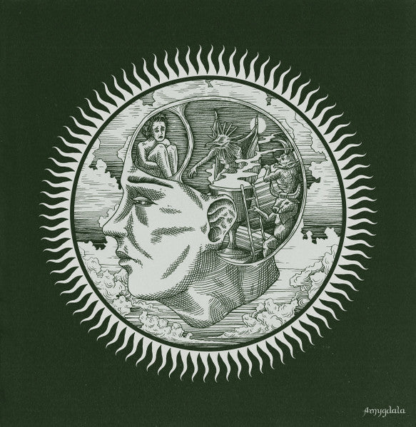 Slow Green Thing : Amygdala (LP, Album, tra)