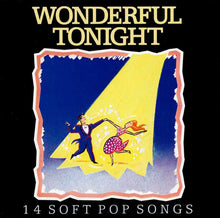 Various : Wonderful Tonight - 14 Soft Pop Songs (CD, Comp)