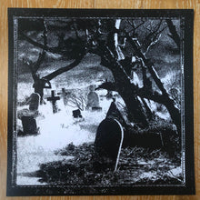 Vleddermos : Worshippers Of The Unholy Gather Under The Full Moon (LP, Album)