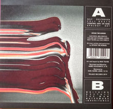 Spook The Horses : Empty Body (LP, Album, Ltd)