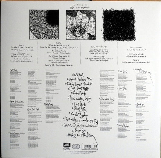 Gozu : The Fury Of A Patient Man (LP, Gre + LP, Pur + Album)