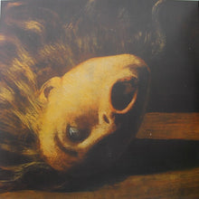 Warning (8) : The Strength To Dream (2xLP, Album, Ltd, RE)