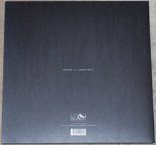A Swarm Of The Sun : The Woods (LP, Album, Ltd, Sil)