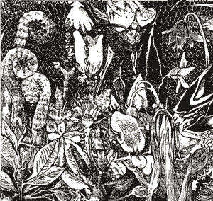 Visitations : Visitations (CD, Album)