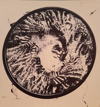 Sow Discord : Quiet Earth (LP, Album, Nat)