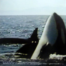 City Center (3) : City Center (CD, Album)