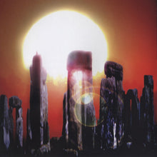 Revolutionary Dub Warriors : State Of Evolution (CD, Album)