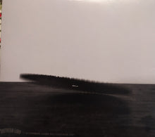Big Brave : Vital (CD, Album)
