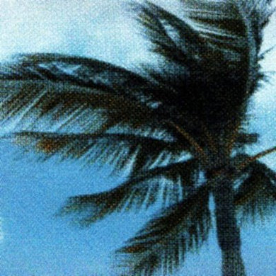 Best Coast : Where The Boys Are (Cass, Ltd)