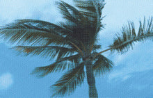 Best Coast : Where The Boys Are (Cass, Ltd)