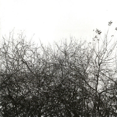 Simon Joyner : Lost With The Lights On (CD, Album)