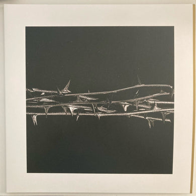 Amenra : De Doorn (2xLP, Album, Gol)